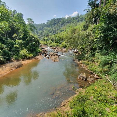 Rainforest River Bay Денияйя Экстерьер фото