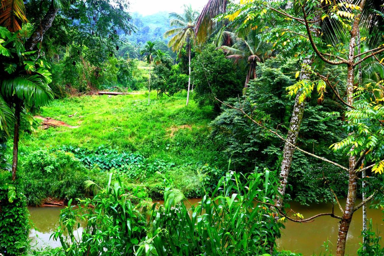 Rainforest River Bay Денияйя Экстерьер фото