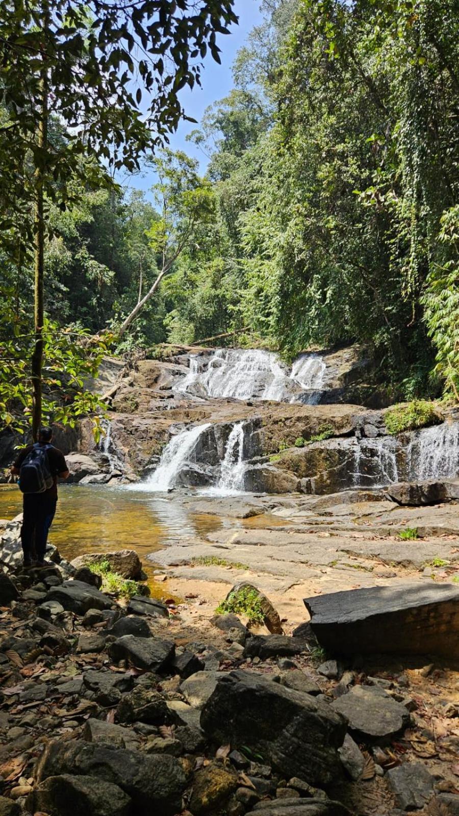 Rainforest River Bay Денияйя Экстерьер фото