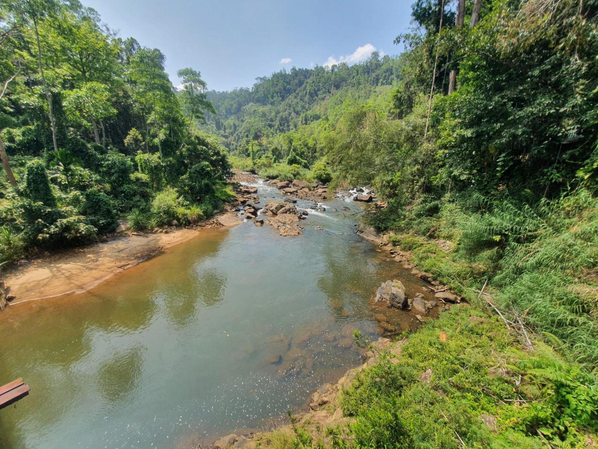Rainforest River Bay Денияйя Экстерьер фото