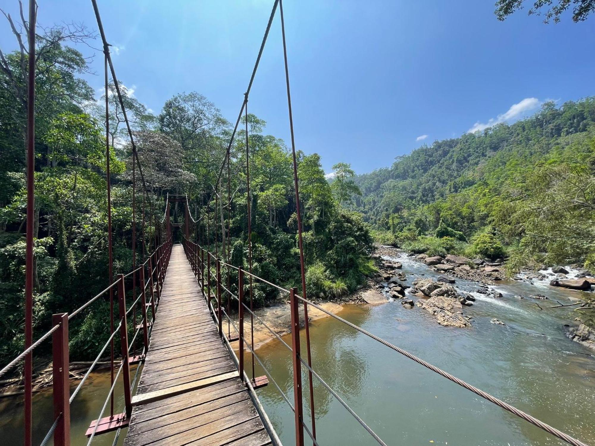 Rainforest River Bay Денияйя Экстерьер фото
